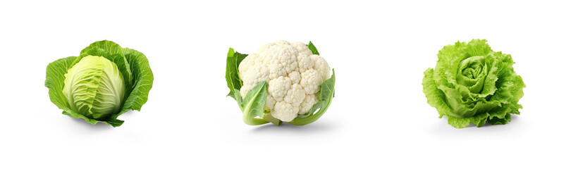 collection of organic natural full cauliflower, cabbage and romaine lettuce vegetable isolated on transparent png background with shadows, for online menu shopping list ready for any background
