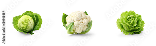 collection of organic natural full cauliflower, cabbage and romaine lettuce vegetable isolated on transparent png background with shadows, for online menu shopping list ready for any background