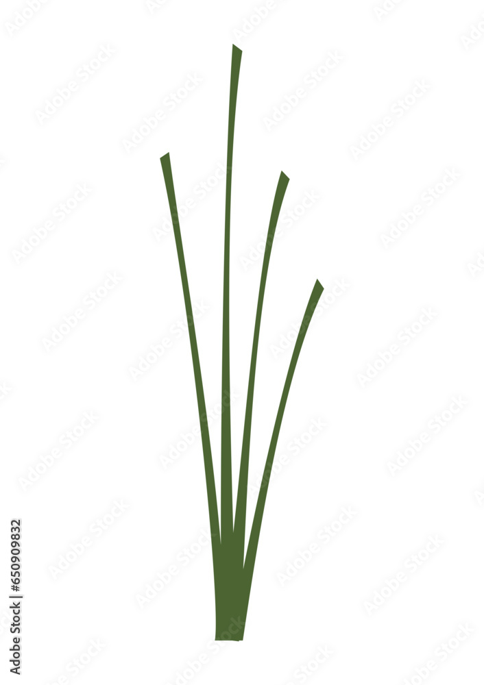 grass 2 grass 2