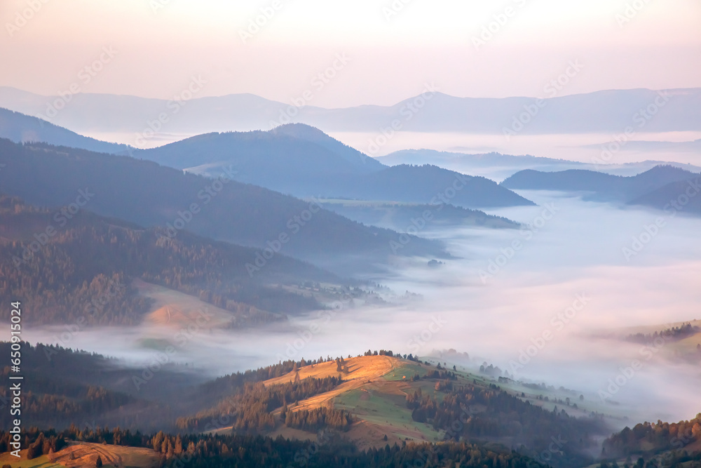 Morning dense fog in the mountainous forest area of ​​the Ukrainian Carpathians. Landscape in nature. Dawn in the mountains