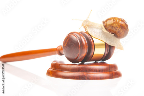 Snail and hammer of justice on a white background. The concept of slow adoption of laws and judicial decision. law and law in society