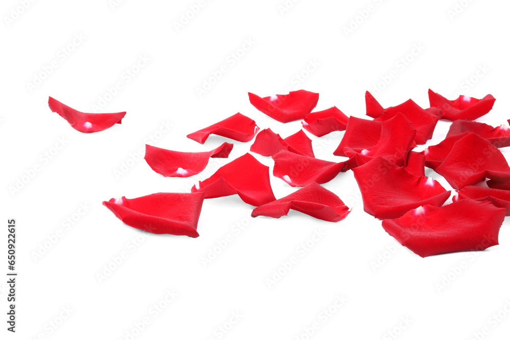 Beautiful red rose petals on white background Beautiful red rose petals on white background