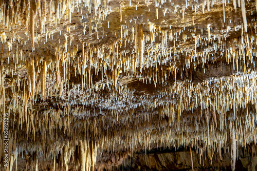 Natural bridge caverns in san antonio Texas photo