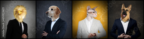 Photography Businessmen with faces of different animals on color background