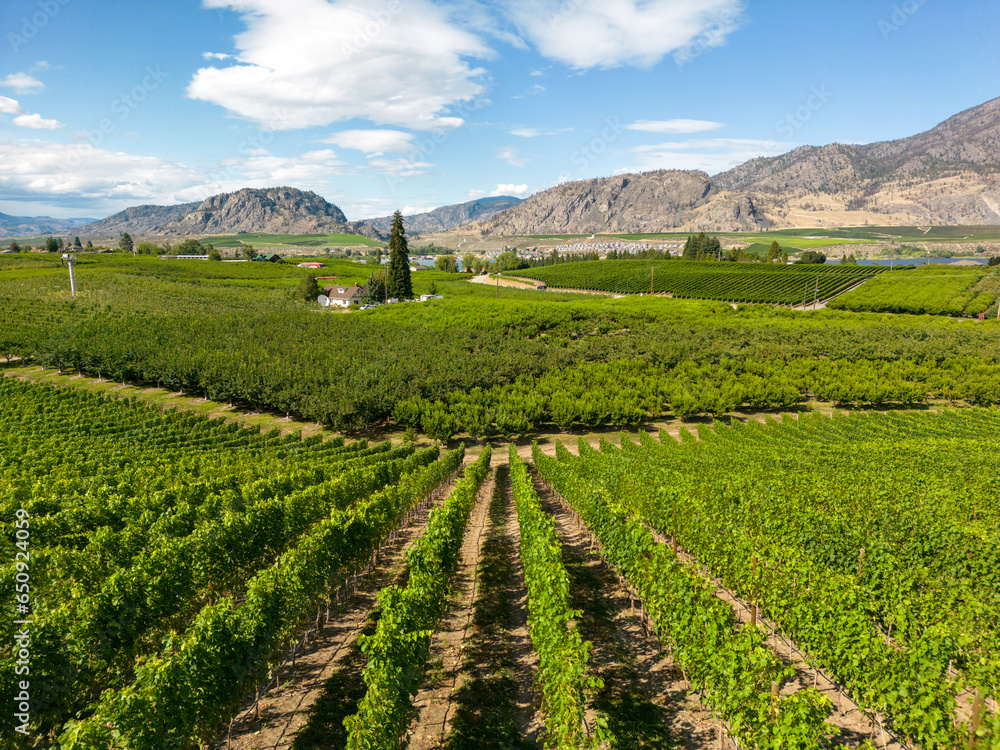 Okanagan Valley British Columbia Winery Vineyard Landscape Okanagan Valley British Columbia Winery Vineyard Landscape