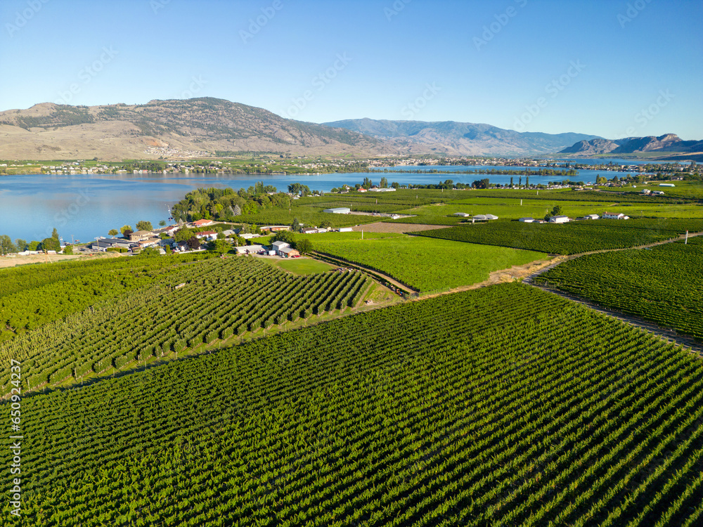 Okanagan Valley British Columbia Winery Vineyard Landscape