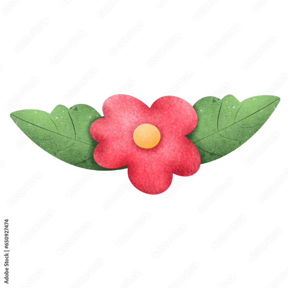 flower isolated on white background flower isolated on white background