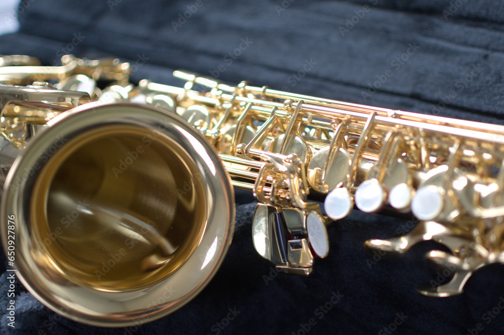 Obraz premium Saxophone