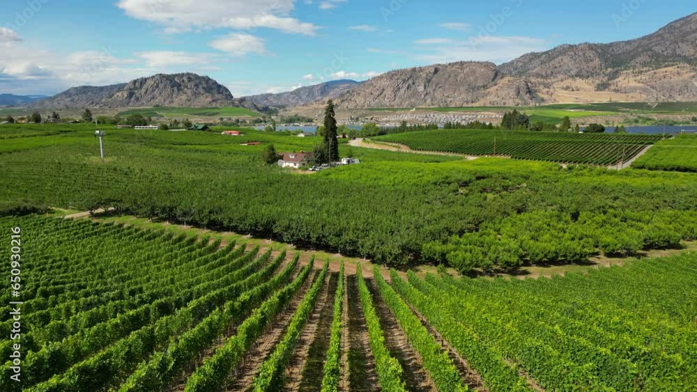 Okanagan Valley British Columbia Winery Vineyard Landscape Okanagan Valley British Columbia Winery Vineyard Landscape
