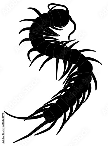 silhouette of centipede