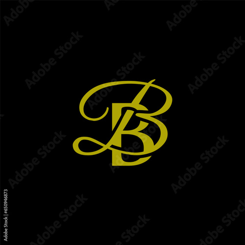 initial letter bb unique monogram logo vector