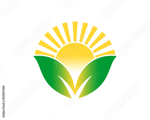 Green leaf with sunrise vector illustration logo