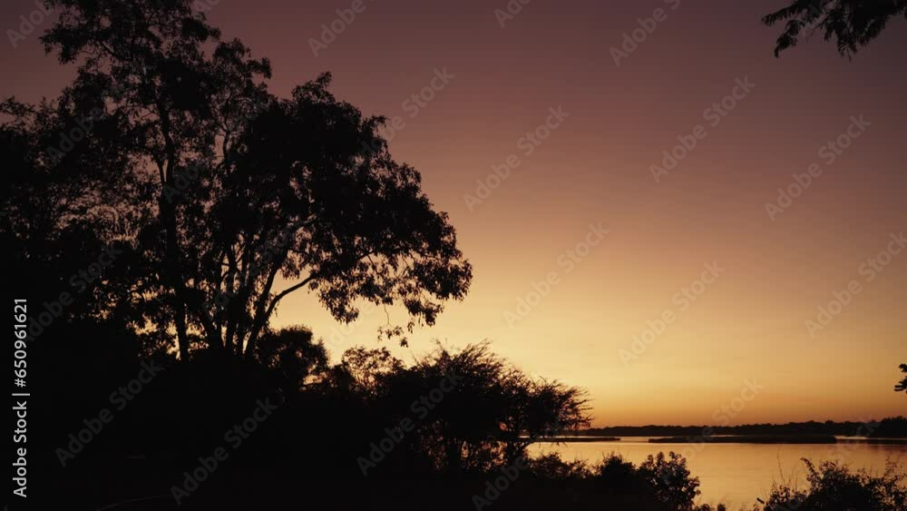 Golden sunrise or sunset over a wetland wilderness on the river banks of Africas zambezi Golden sunrise or sunset over a wetland wilderness on the river banks of Africas zambezi