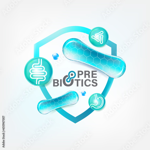 Prebiotic Foods Good Bacteria Vector illustration. 