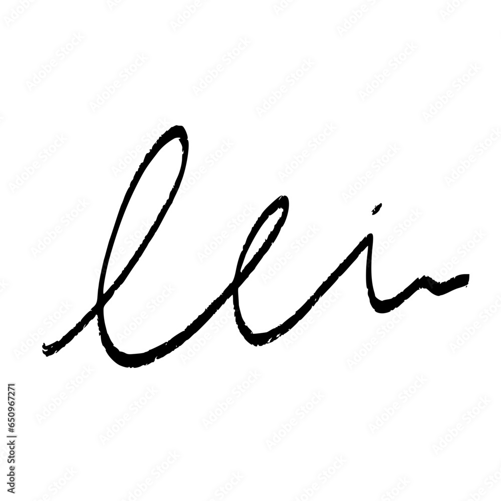 Handwritten Signature Handwritten Signature