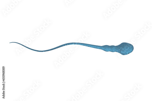 Digital png illustration of blue spermatozoid on transparent background photo