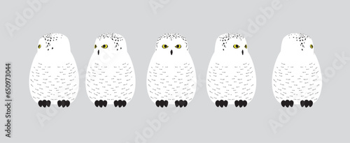 Snowy Owl Rotating Head Cartoon Vector Character