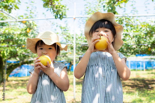 秋に梨狩りを楽しむ女の子