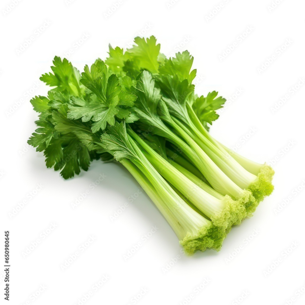 Celery isolated on a white background Celery isolated on a white background
