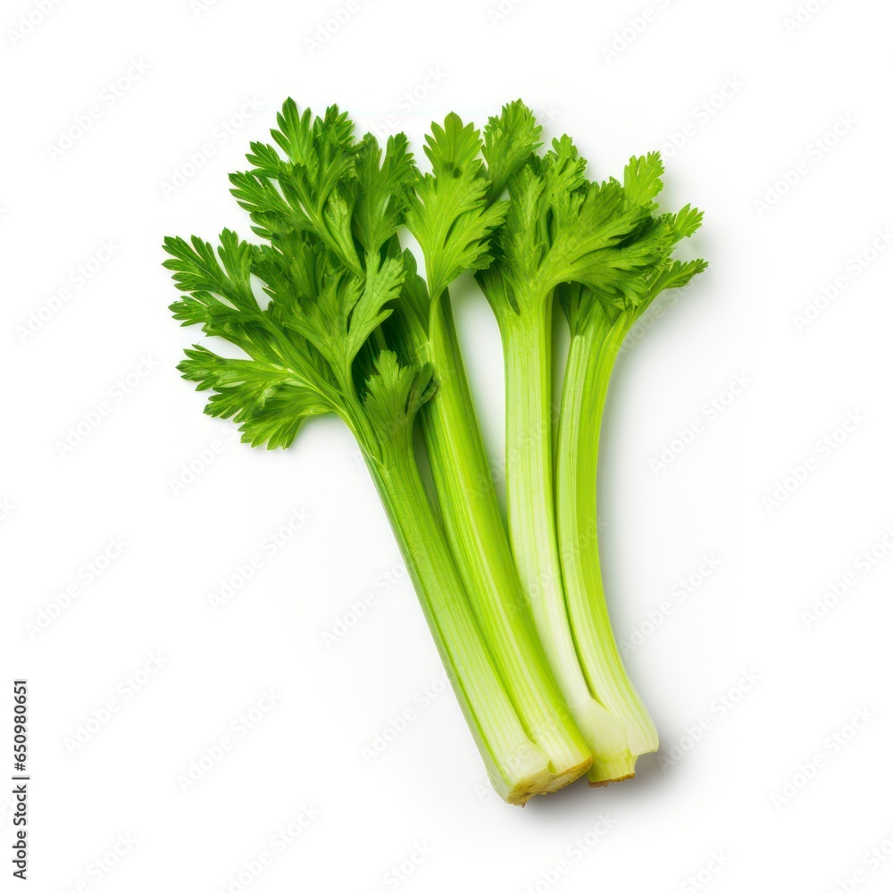 Celery isolated on a white background Celery isolated on a white background
