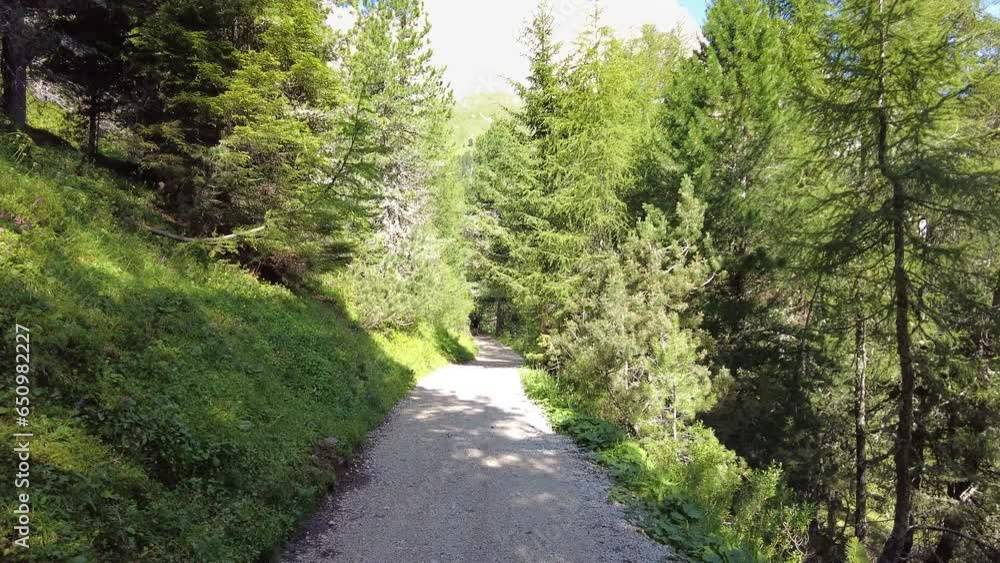 A view of the countryside into Val di Fassa