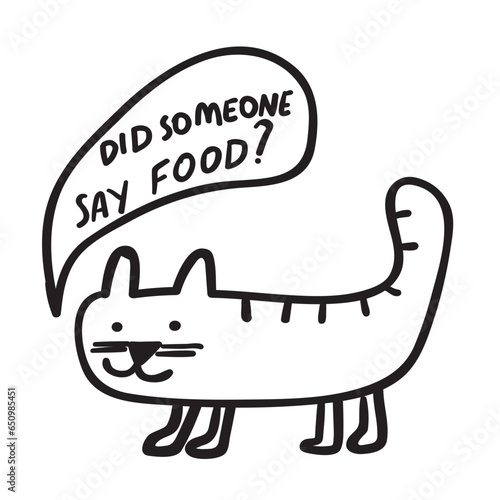 Fotografie Funny cat