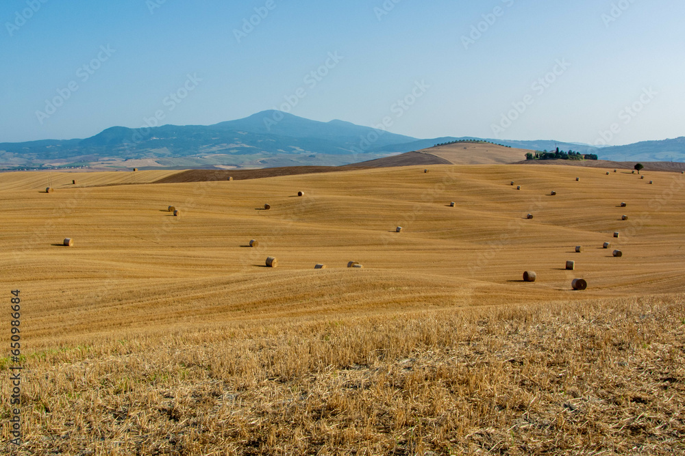 Obraz premium landscape with bales in the tuscany