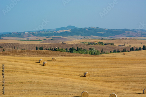 landscape with bales in the tuscany