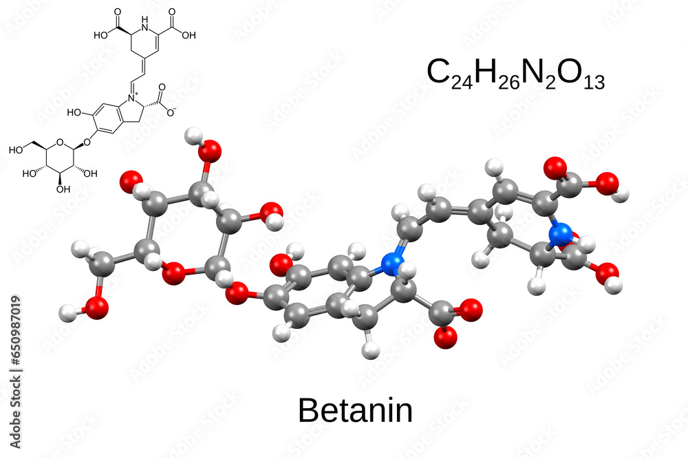 Chemical formula, skeletal formula and 3D ball-and-stick model of betanin, or Beetroot Red, is a red glycosidic food dye obtained from beets - obrazy, fototapety, plakaty 