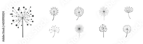 Dandelion Signs Black Thin Line Icon Vector Set