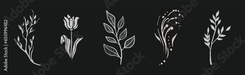 Blooming Flora with Flower Silhouette on Black Background Vector Set