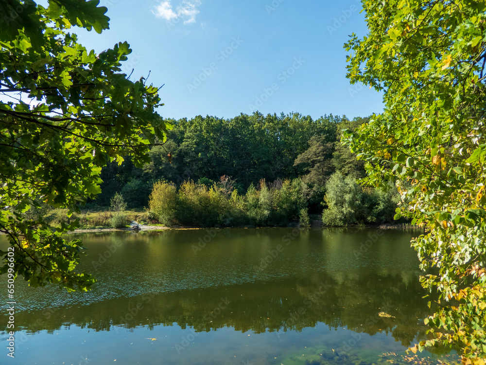 photograph of a river bank in early autumn photograph of a river bank in early autumn