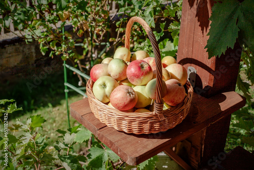 Dojrzałe jabłka w wiklinowym koszu