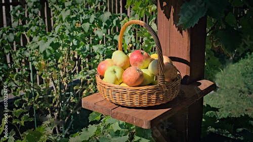 Dojrzałe jabłka w wiklinowym koszu