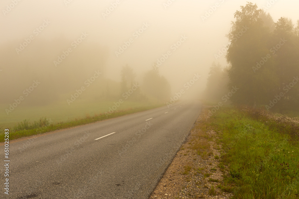 foggy and cool morning on the highway, in the field during summer foggy and cool morning on the highway, in the field during summer