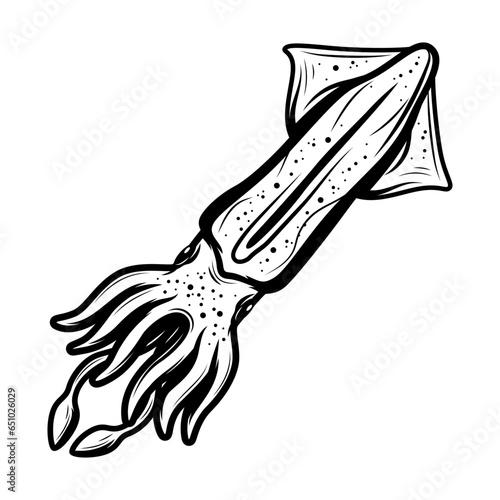 squid silhouette,sea fish,seafood
