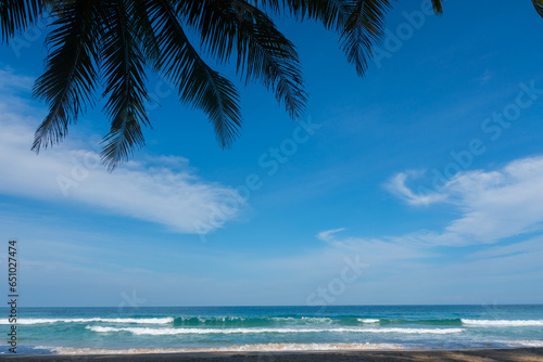 Fototapeta Naklejka Na Ścianę i Meble -  Coconut trees on beach.Amazing palms on island blue sky and clouds background. sun light in summer.Pattern trees on sunset silhouette.Peaceful pop up.The best photo frame