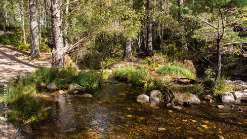 Cairngorms National Park in den Central Highlands