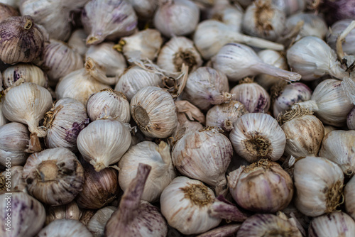 bunch of garlic