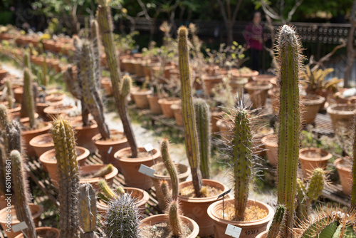 Selected focused on a group...