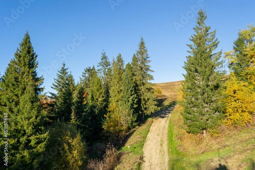 Dirt road on the hill in Carpathian mountains, Ukraine (ID: 651057698)