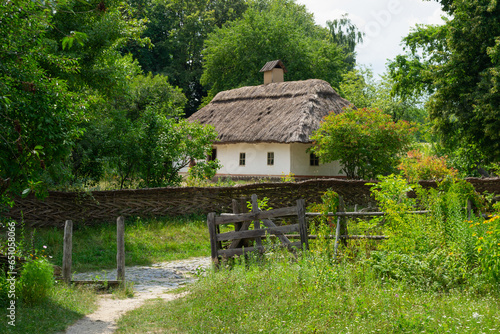 A village yard with grass and trees near the ancient Ukrainian countryside house (ID: 651058066)