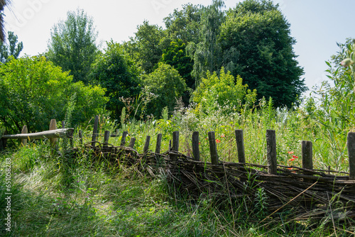 A village yard fence with grass and trees near it in the ancient Ukrainian countryside (ID: 651058283)