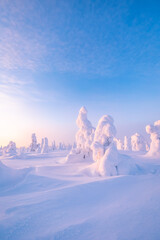 Papier peint photo Pourpre winter landscape with snow  © Artem