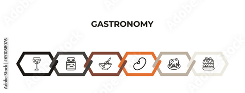 gin, pickle, dough, beans, pancakes, lasagne outline icons. editable vector from gastronomy concept. infographic template.