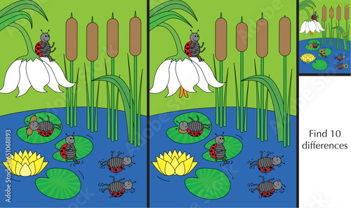 Finding differences puzzle