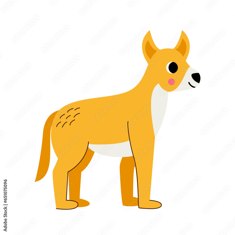 Vector picture of cute dingo dog isolated on white background.