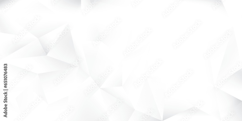 Abstract geometric white and gray color background with polygon, low poly pattern.Vector illustration. Abstract geometric white and gray color background with polygon, low poly pattern.Vector illustration.