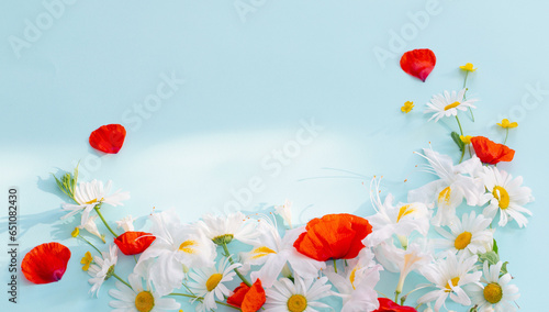 summer flowers in sunny light on blue background