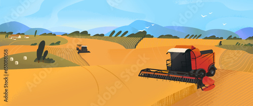 Harvester machinery work in the farm field. Harvesting, haymaking season on farmland, agriculture land. Combine gather grain, harvest wheat. Farming landscape, panoramic view. Flat vector illustration